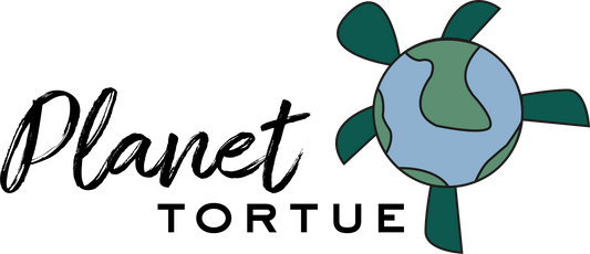 Planet Tortue - the details