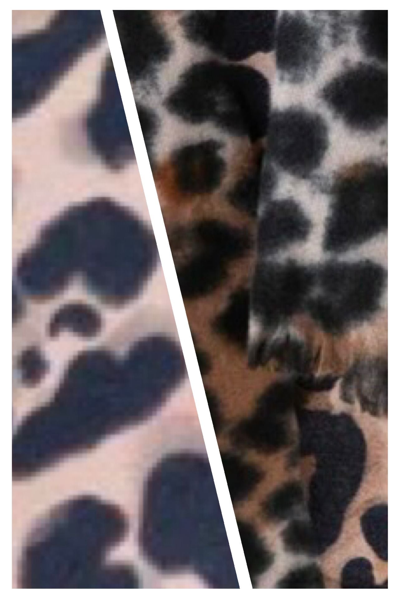 Blog Post - Take A Walk On The Wild Side